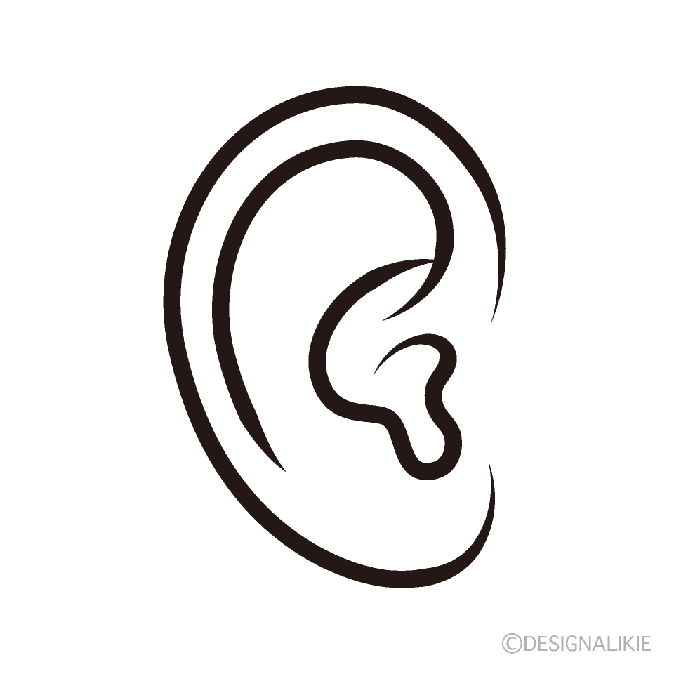 線画の耳イラストのフリー素材 イラストイメージ