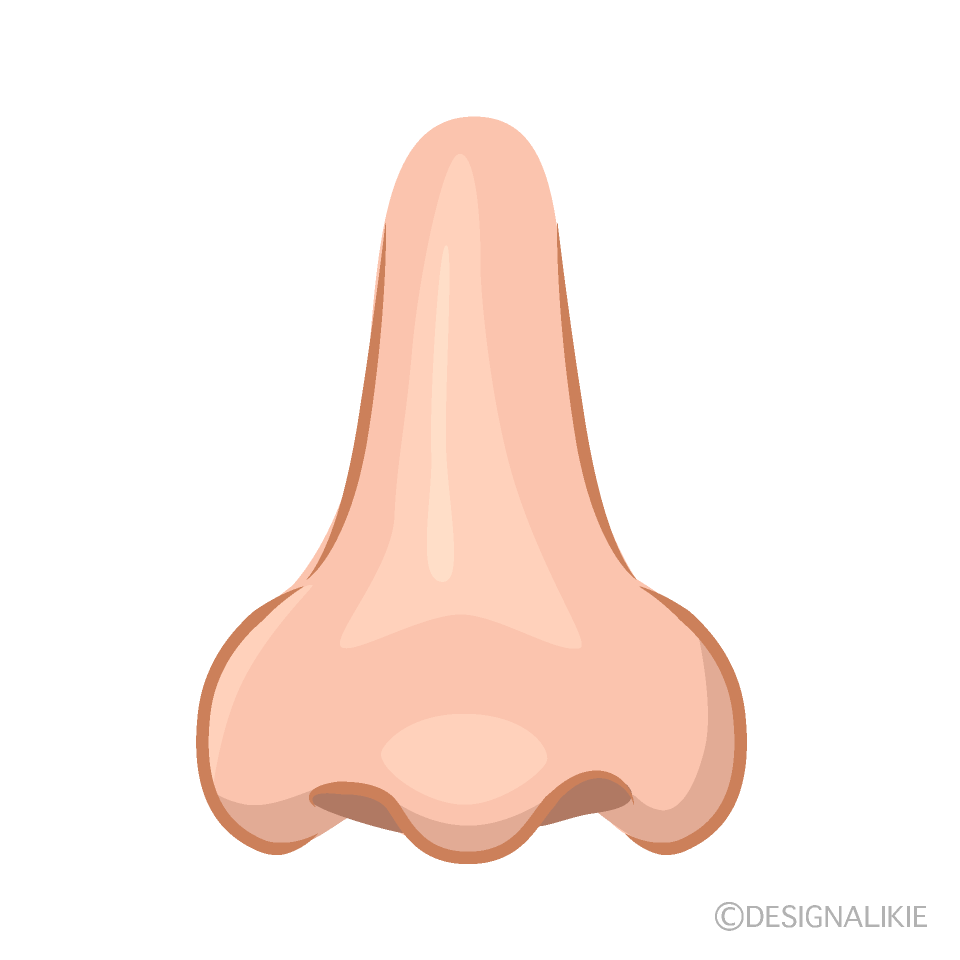鼻