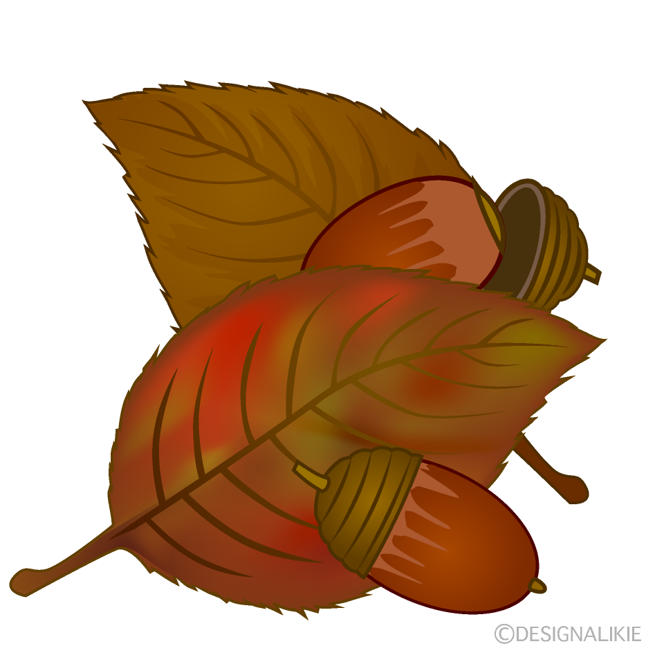 秋のドングリと落ち葉の無料イラスト素材 イラストイメージ