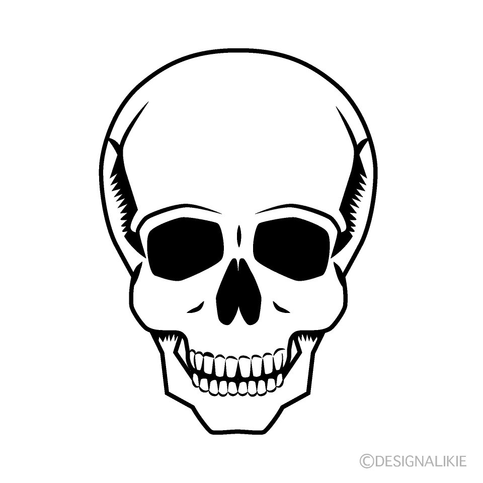 頭蓋骨の無料イラスト素材 イラストイメージ