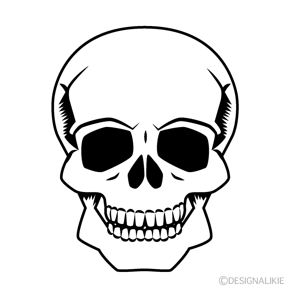 男性頭蓋骨の無料イラスト素材 イラストイメージ