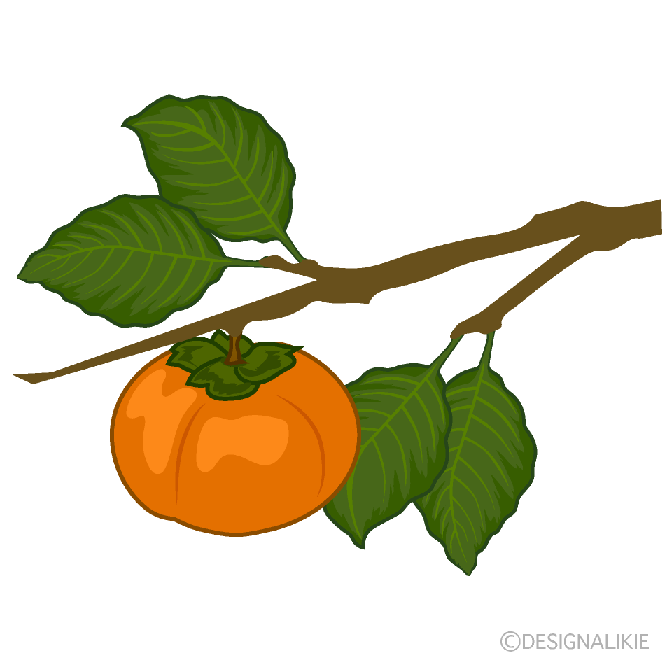 柿の木イラストのフリー素材 イラストイメージ