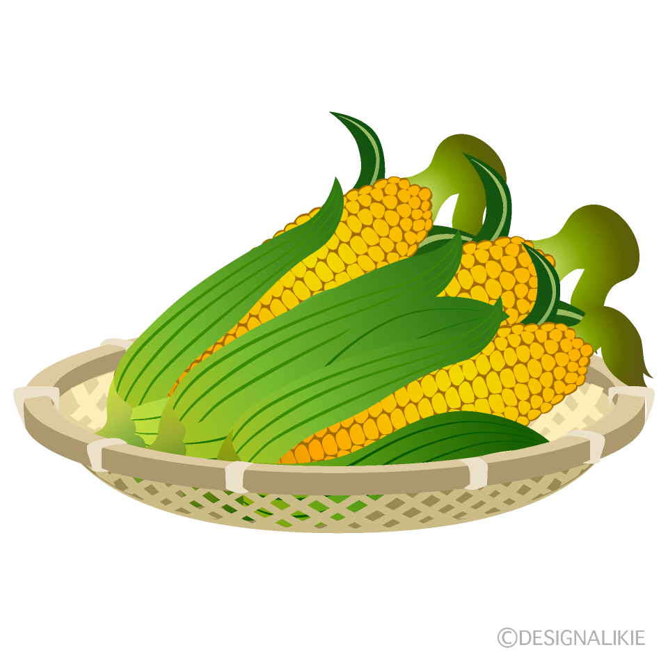 竹ザルのトウモロコシイラストのフリー素材 イラストイメージ