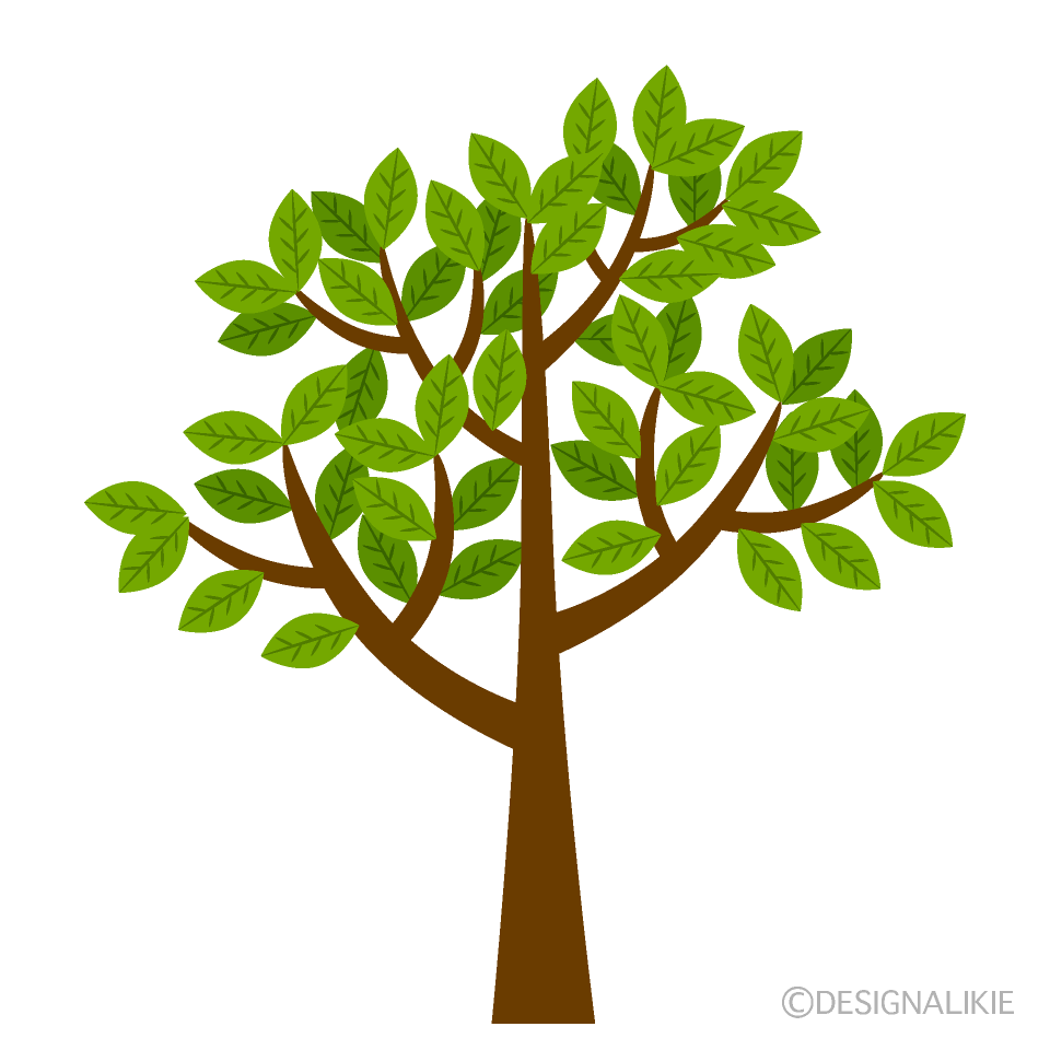 イチョウの木の無料イラスト素材 イラストイメージ
