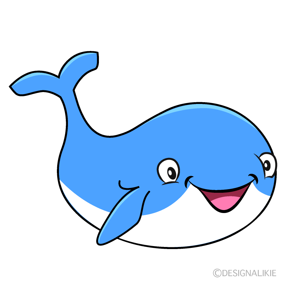 笑顔のクジライラストのフリー素材 イラストイメージ