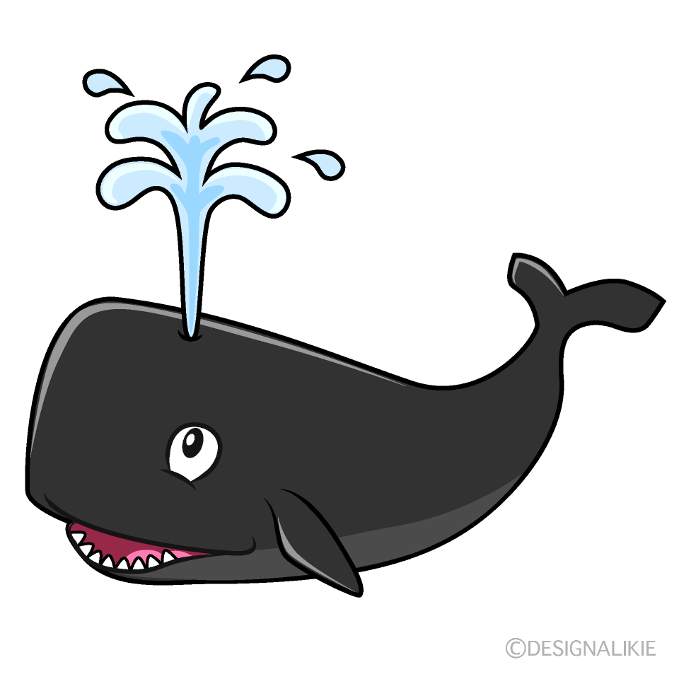 潮を吹くマッコウクジライラストのフリー素材 イラストイメージ