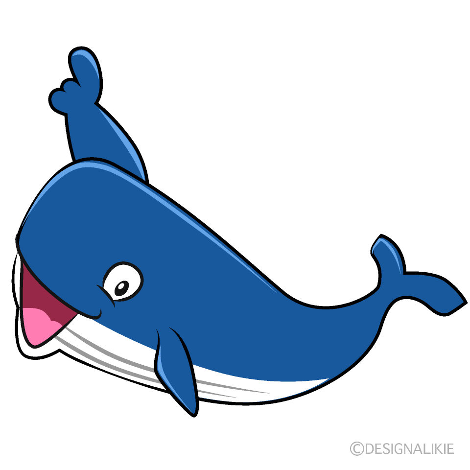 指差すクジライラストのフリー素材 イラストイメージ