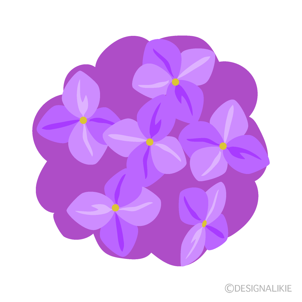 紫アジサイの無料イラスト素材 イラストイメージ
