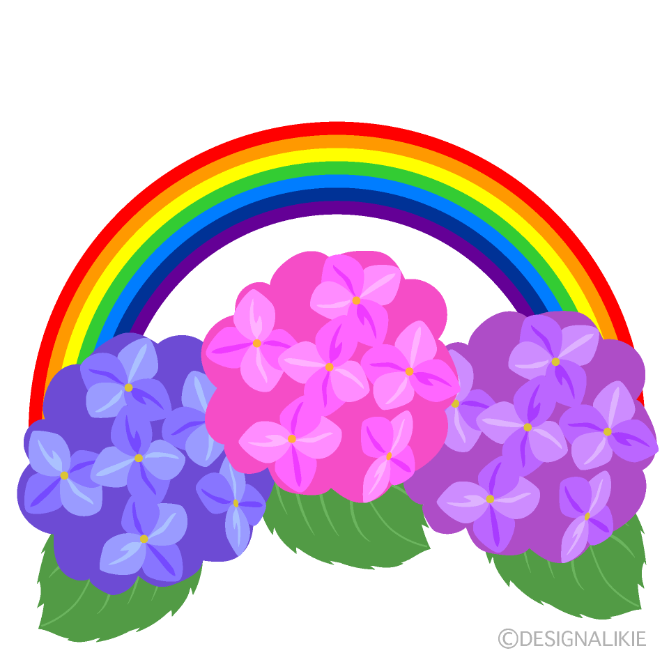 虹とアジサイの無料イラスト素材 イラストイメージ