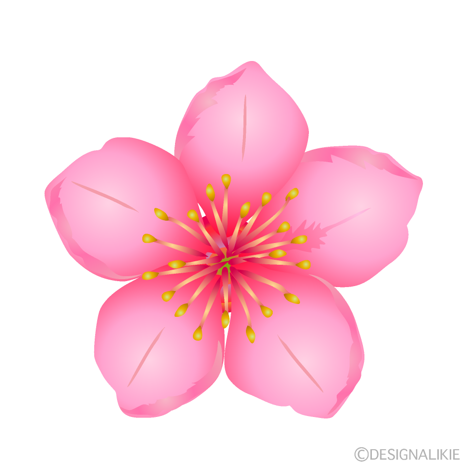 桃の花イラストのフリー素材 イラストイメージ