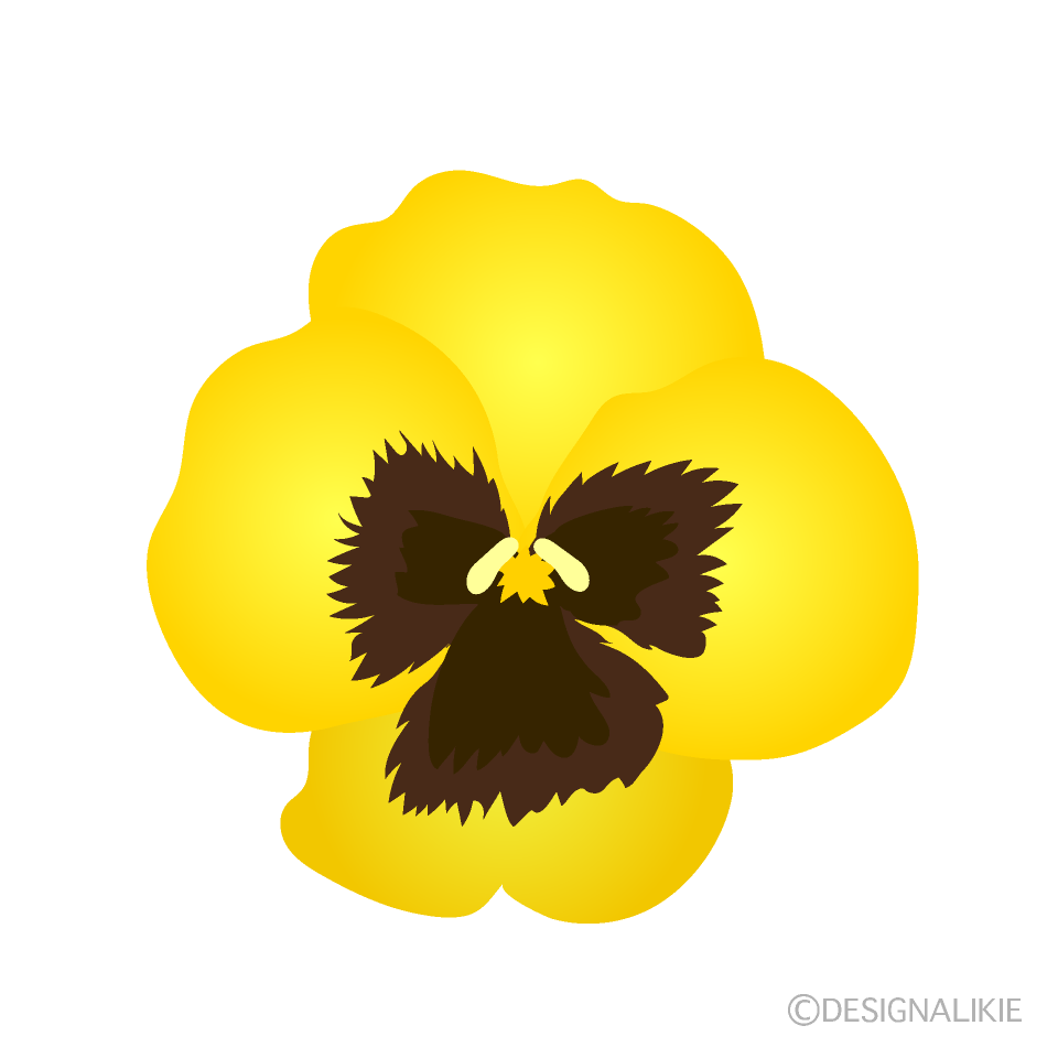 黄色パンジーの花の無料イラスト素材 イラストイメージ