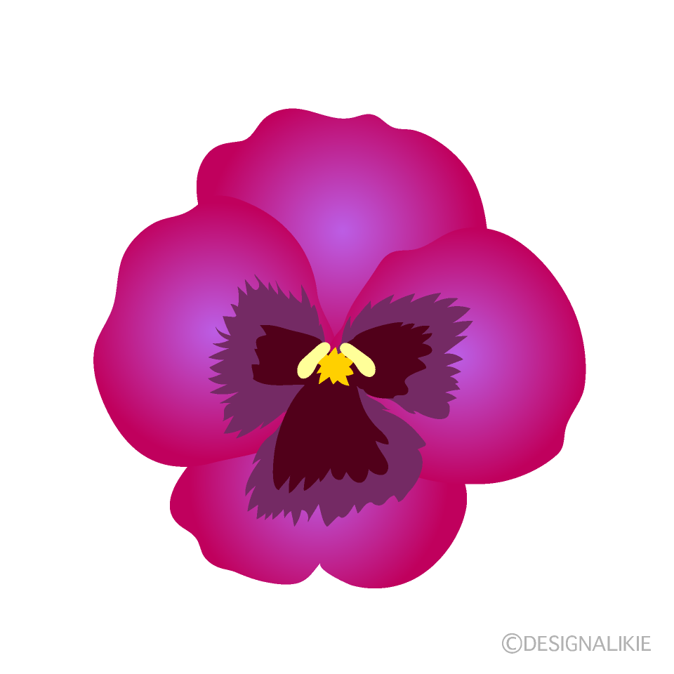 赤パンジーの花の無料イラスト素材 イラストイメージ
