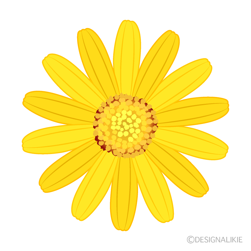 黄色マーガレットの花イラストのフリー素材 イラストイメージ