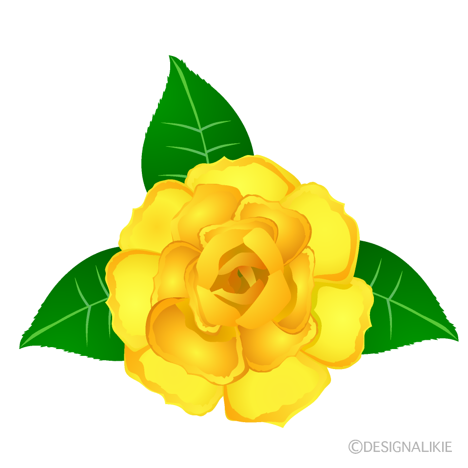 黄色ばらの花イラストのフリー素材 イラストイメージ