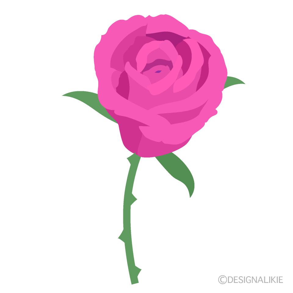 ピンクのバラの無料イラスト素材 イラストイメージ