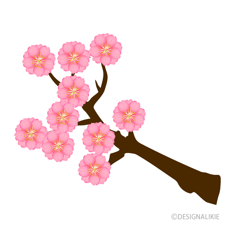 Japan Image 桃の花 イラスト 手書き