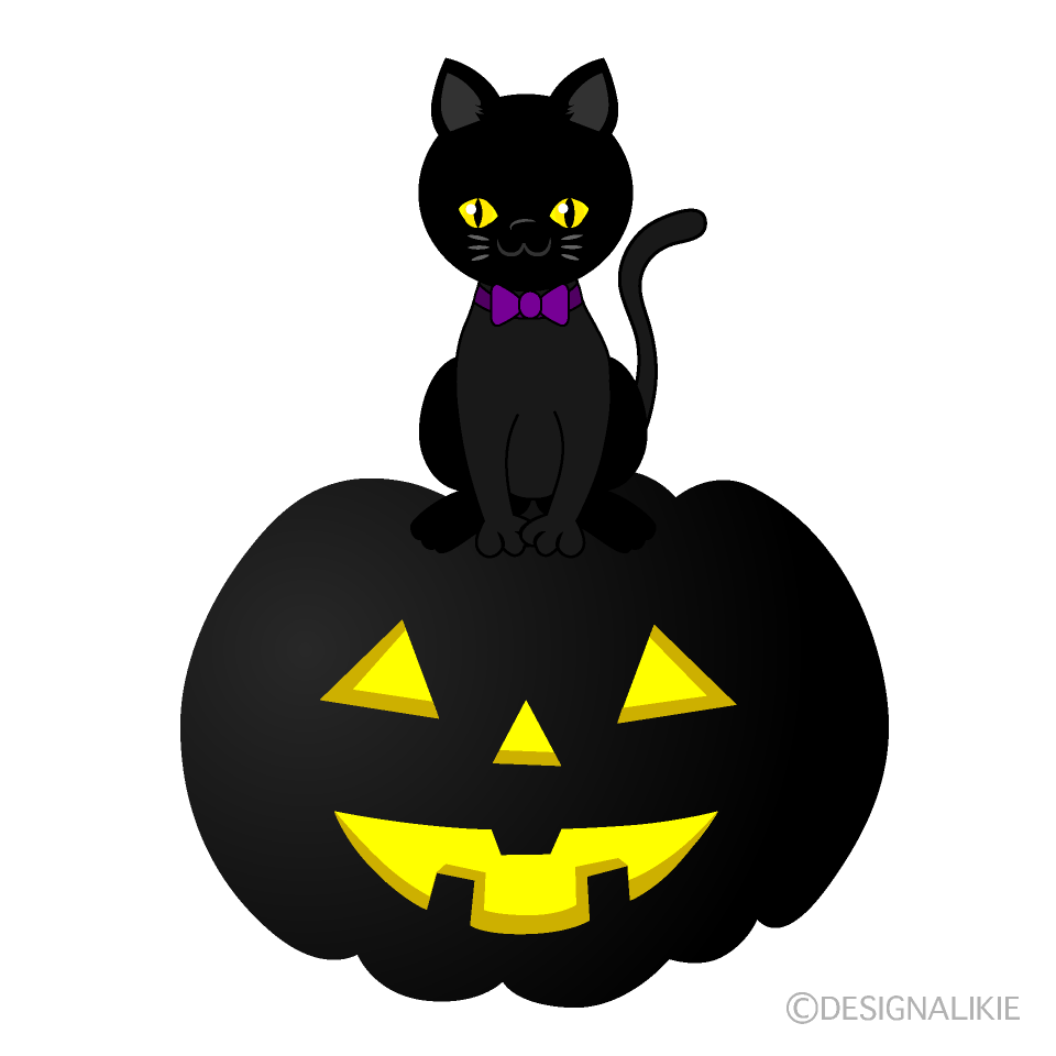 夜のハロウィンの黒猫