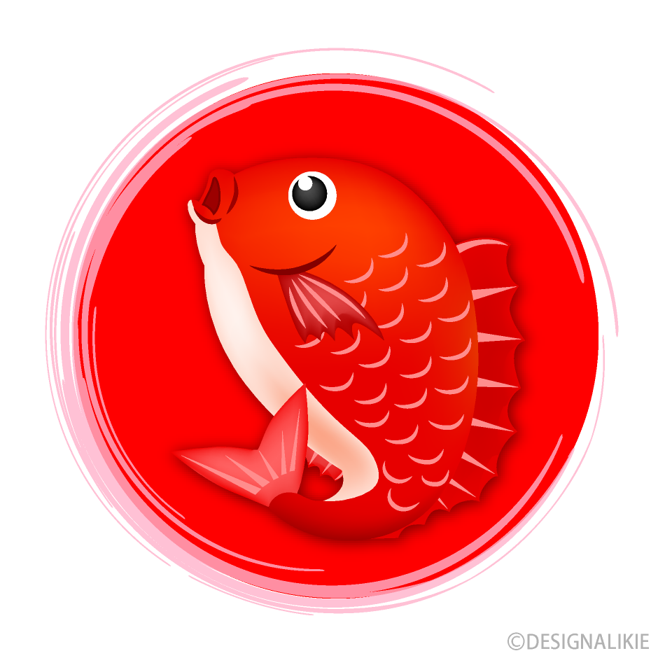 赤丸のめで鯛の無料イラスト素材 イラストイメージ