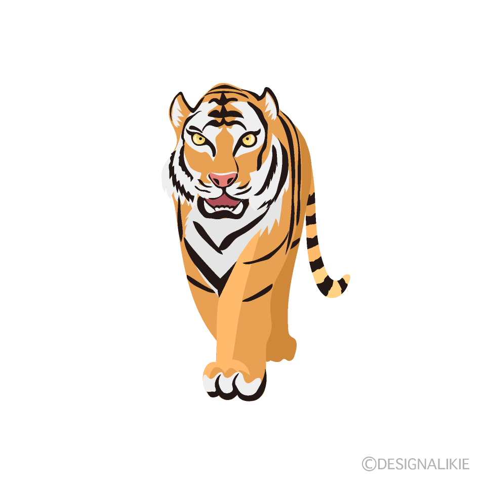 虎イラストのフリー素材 イラストイメージ