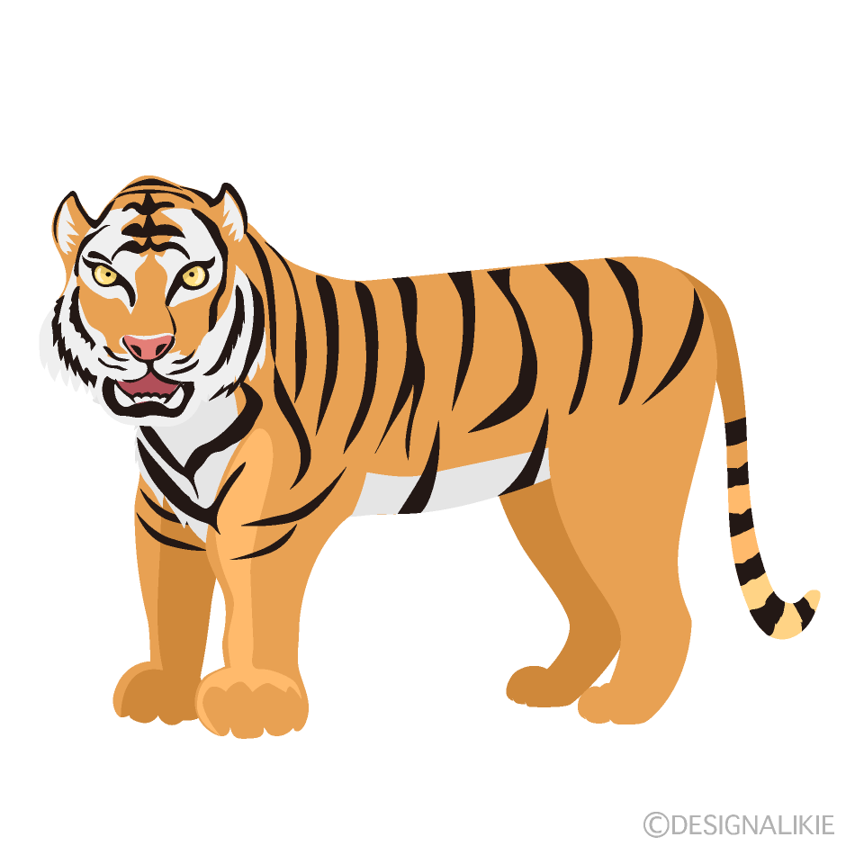 怖そうな虎の無料イラスト素材 イラストイメージ