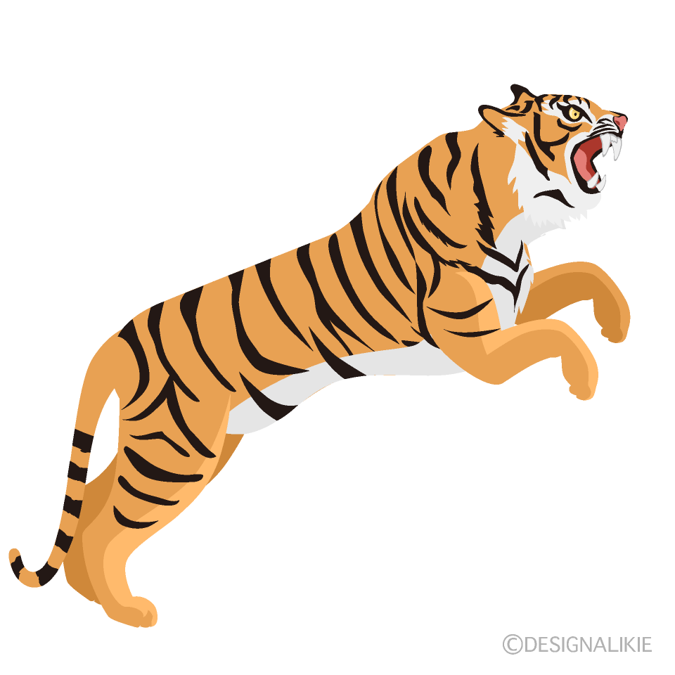 飛びかかる虎イラストのフリー素材 イラストイメージ