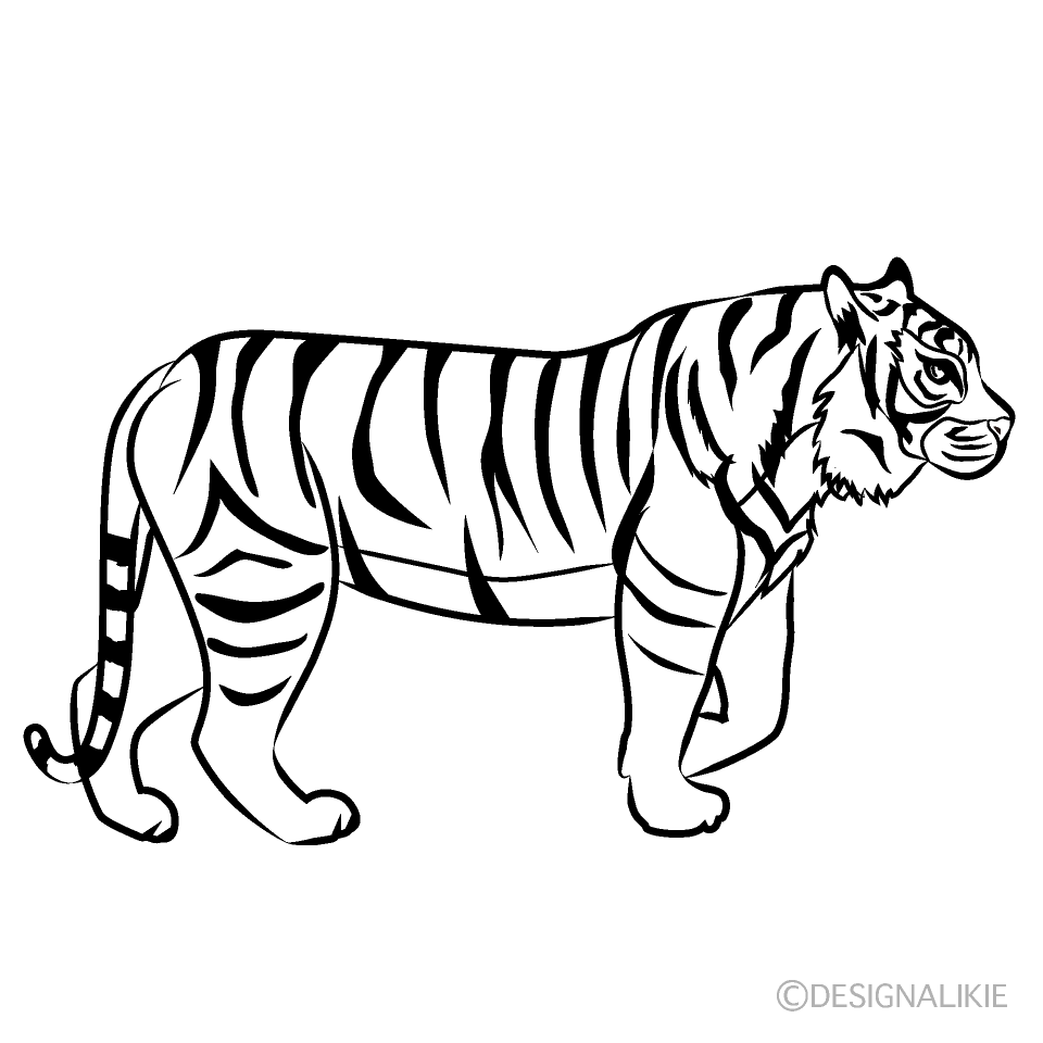 最も選択された 虎 イラスト 白黒 無料の公開画像