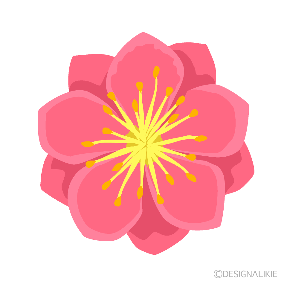 一輪の桃の花の無料イラスト素材 イラストイメージ