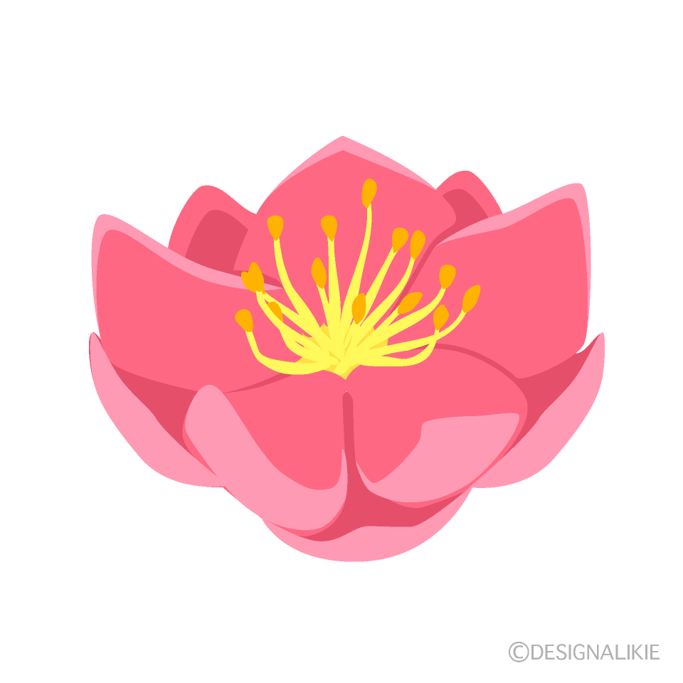 桃の花 横 イラストのフリー素材 イラストイメージ