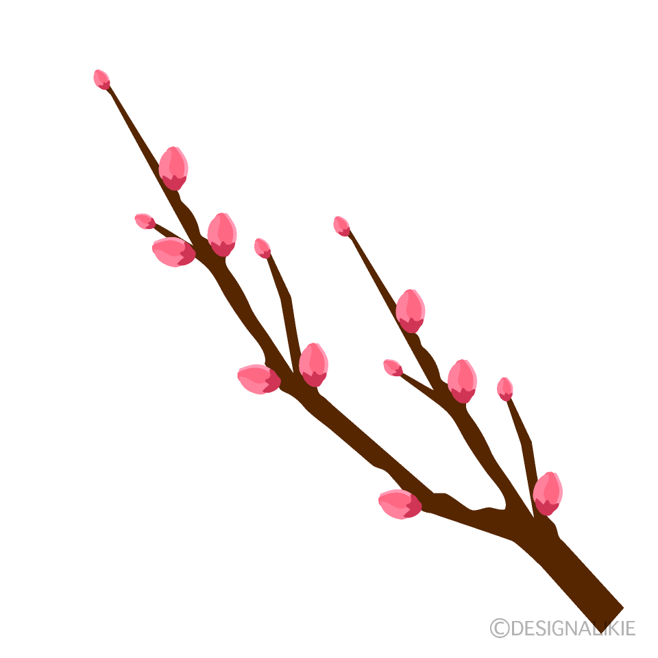 桃の花つぼみイラストのフリー素材 イラストイメージ