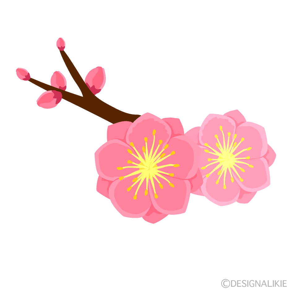 桃の木の花の無料イラスト素材 イラストイメージ