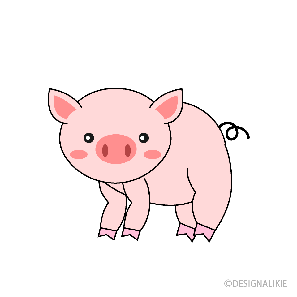 こっちを見る豚