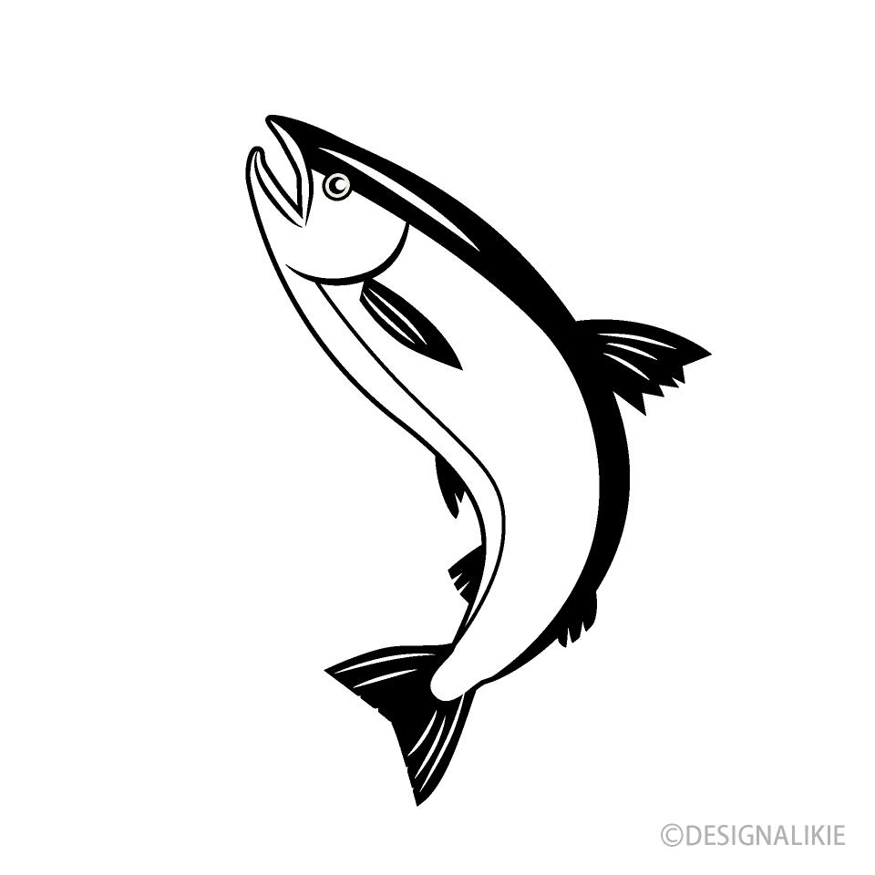 跳ねる白黒の鮭イラストのフリー素材 イラストイメージ