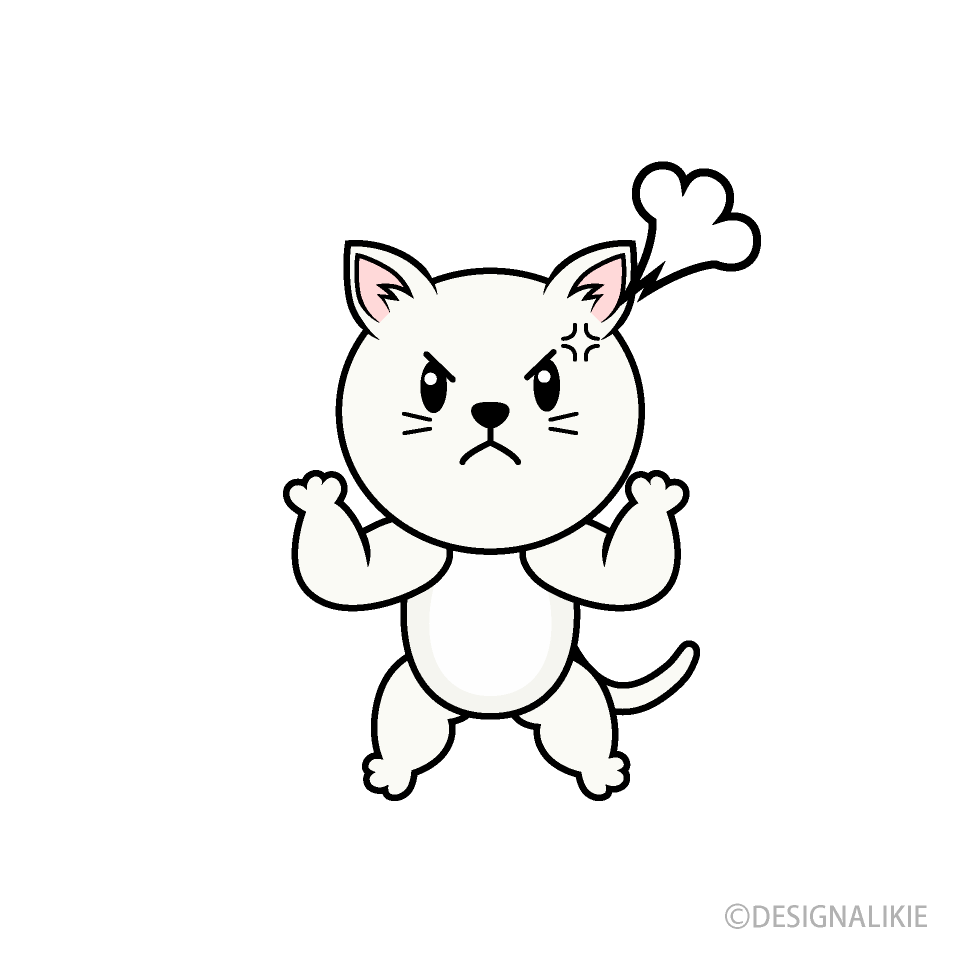怒る白猫キャライラストのフリー素材 イラストイメージ