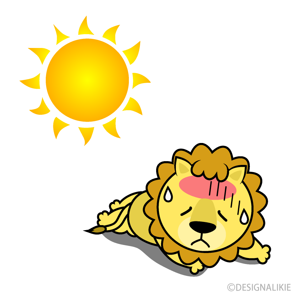 熱中症のライオンキャライラストのフリー素材 イラストイメージ