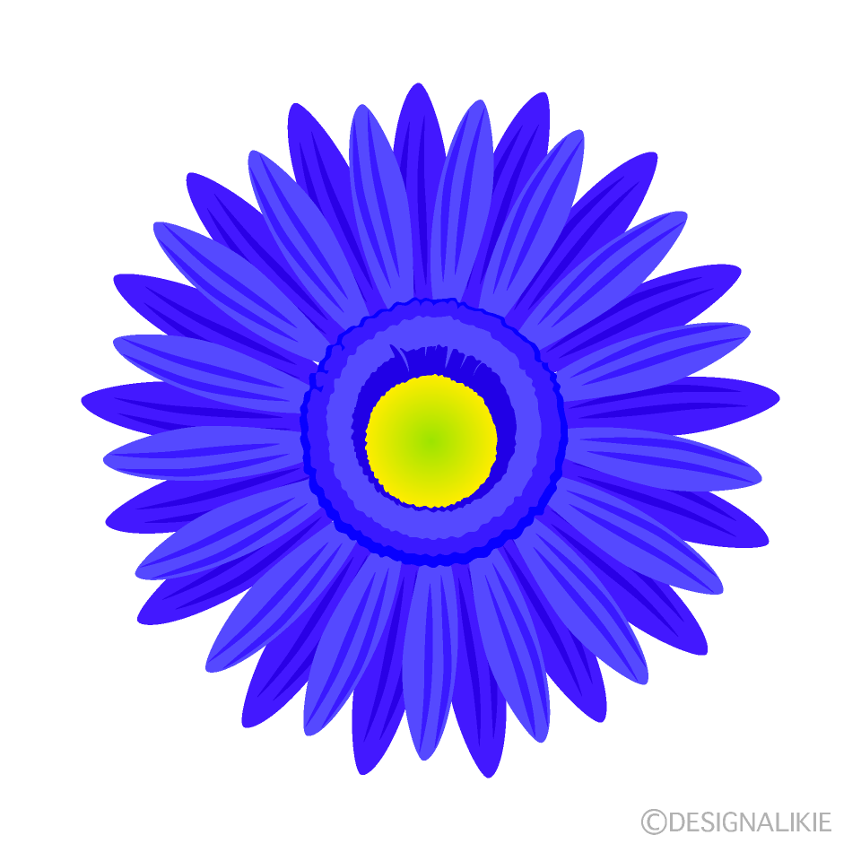 青色ガーベラの花イラストのフリー素材 イラストイメージ
