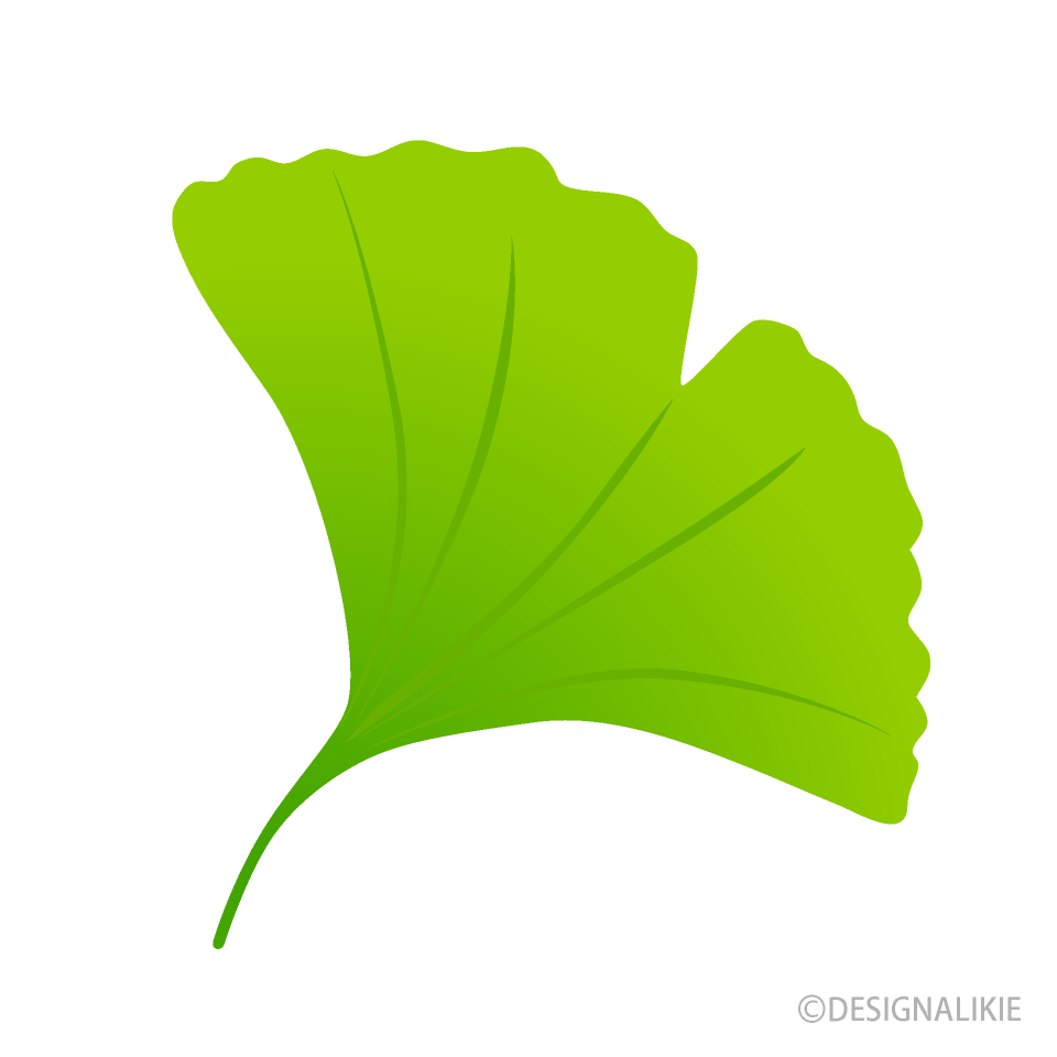 緑色イチョウの葉イラストのフリー素材 イラストイメージ