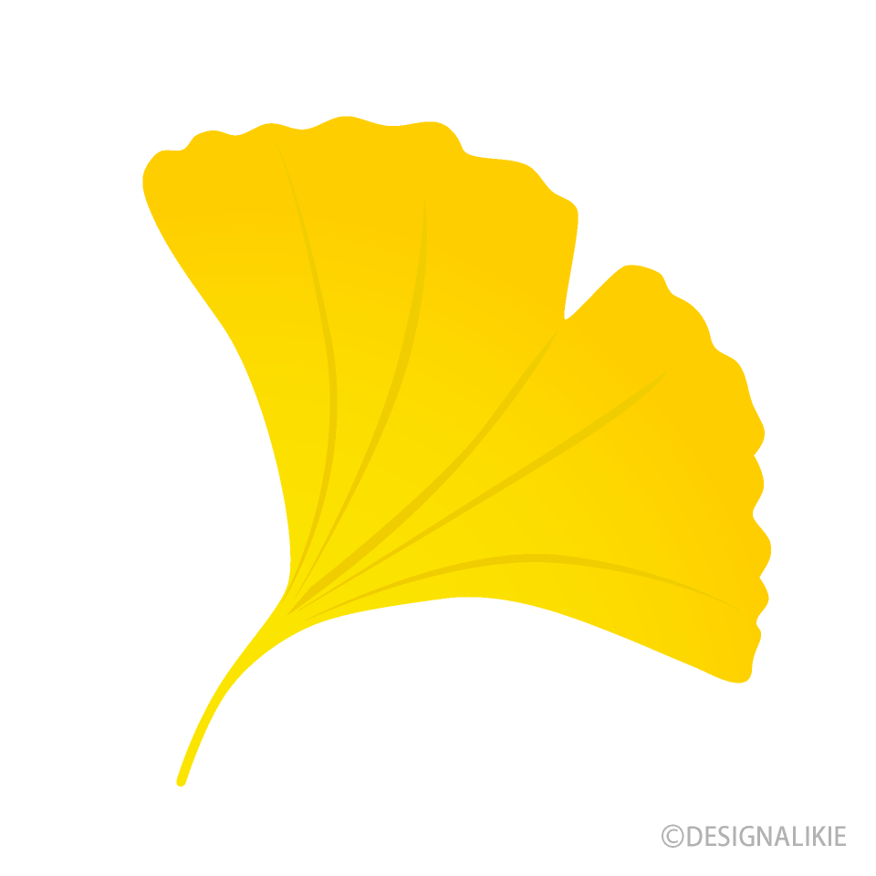 黄色イチョウの葉