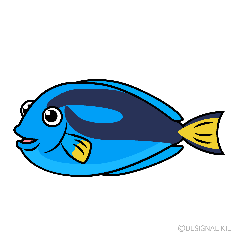 熱帯魚ナンヨウハギ