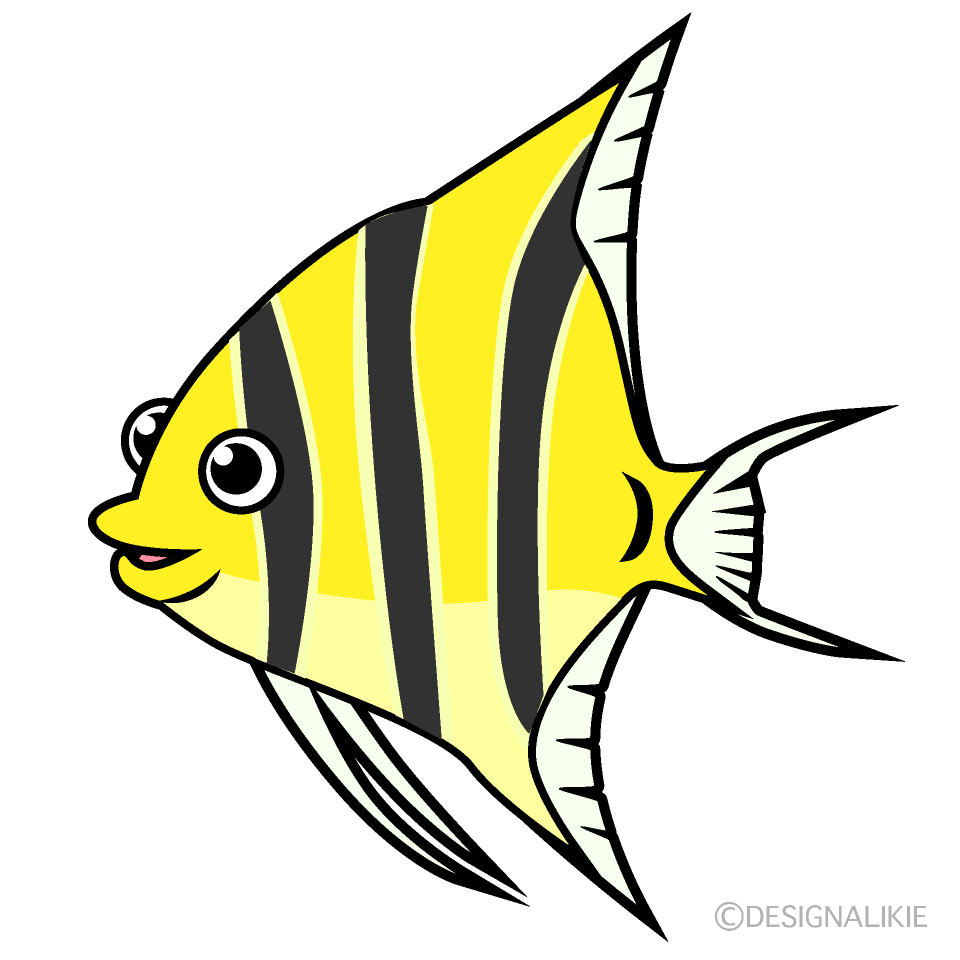 熱帯魚エンゼルフィッシュ