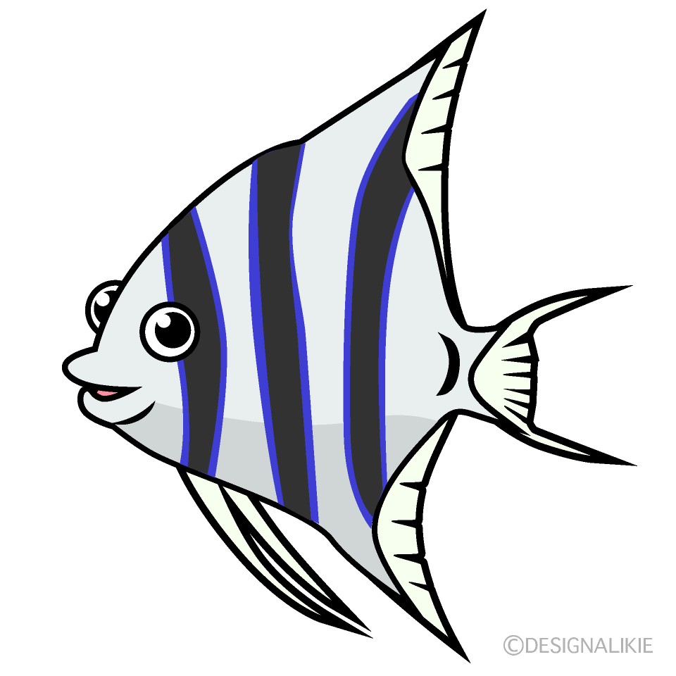 熱帯魚白黒エンゼルフィッシュ
