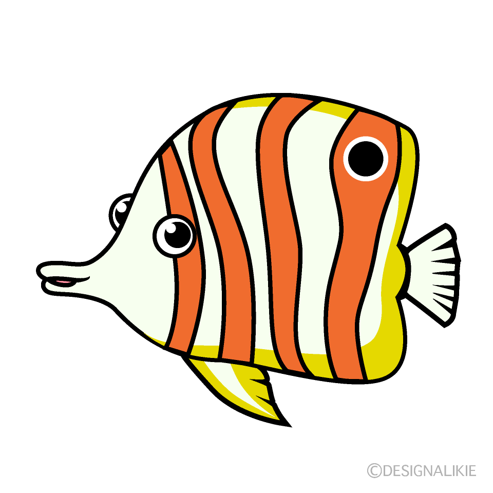 熱帯魚チョウチョウウオ