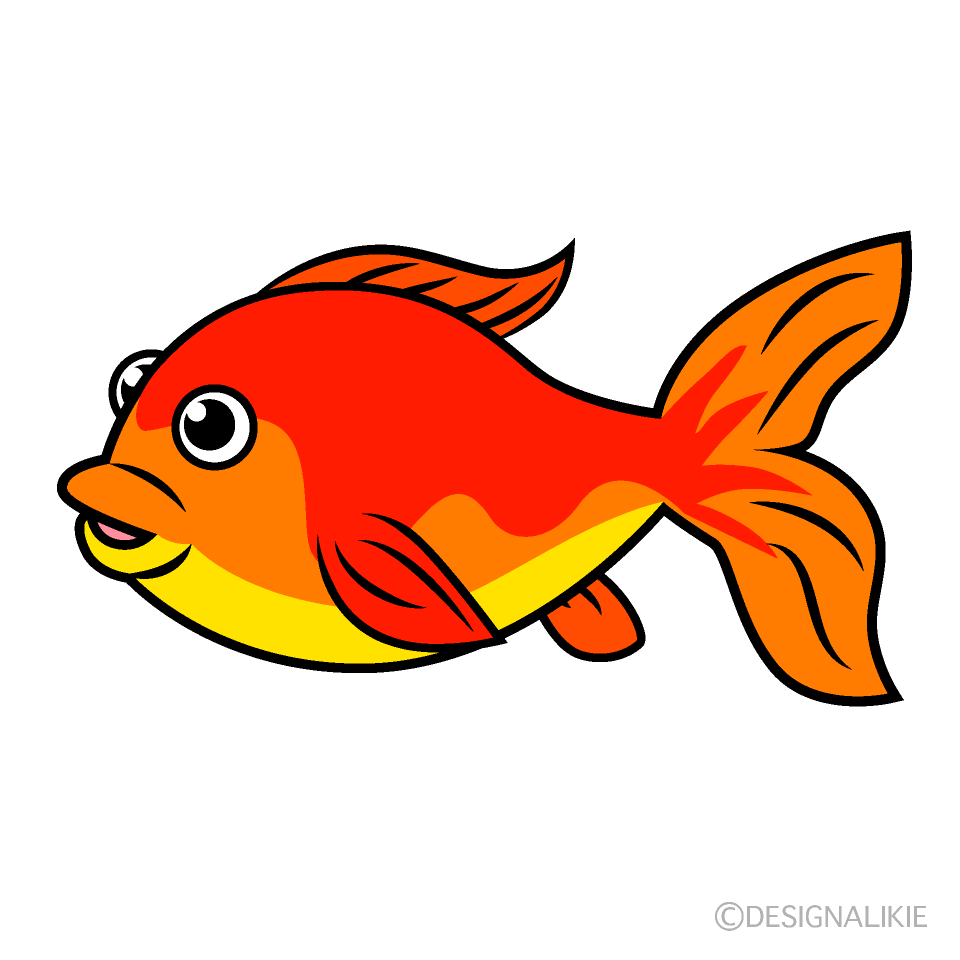 赤い熱帯魚