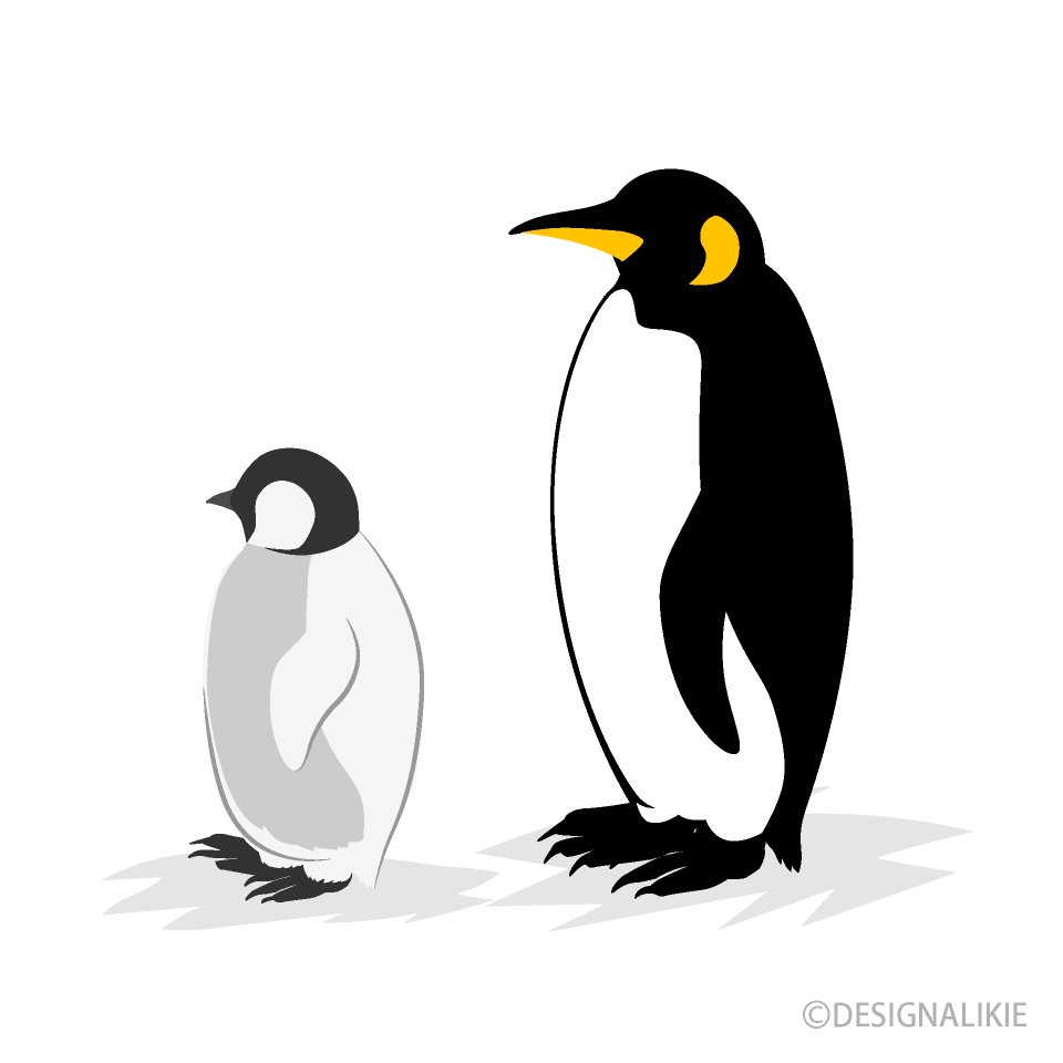 親子のコウテイペンギンイラストのフリー素材 イラストイメージ