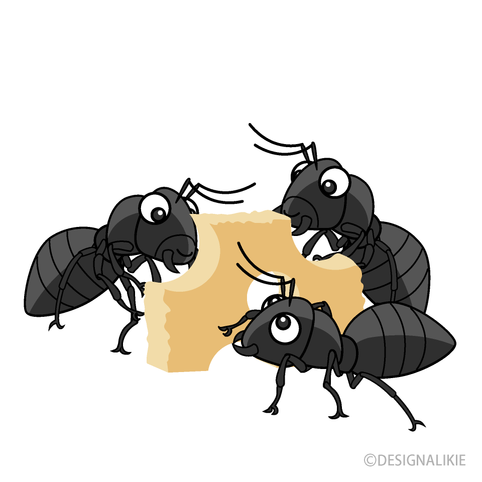 食べ物に集まるアリ