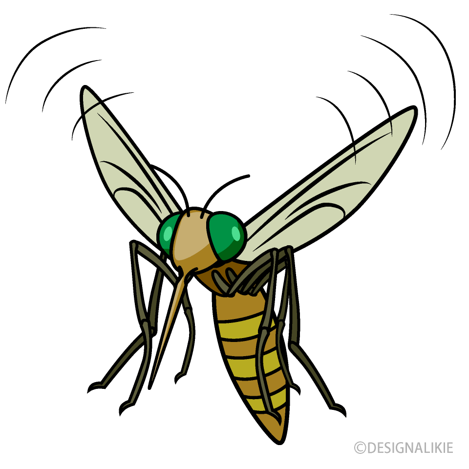 飛ぶ茶色蚊
