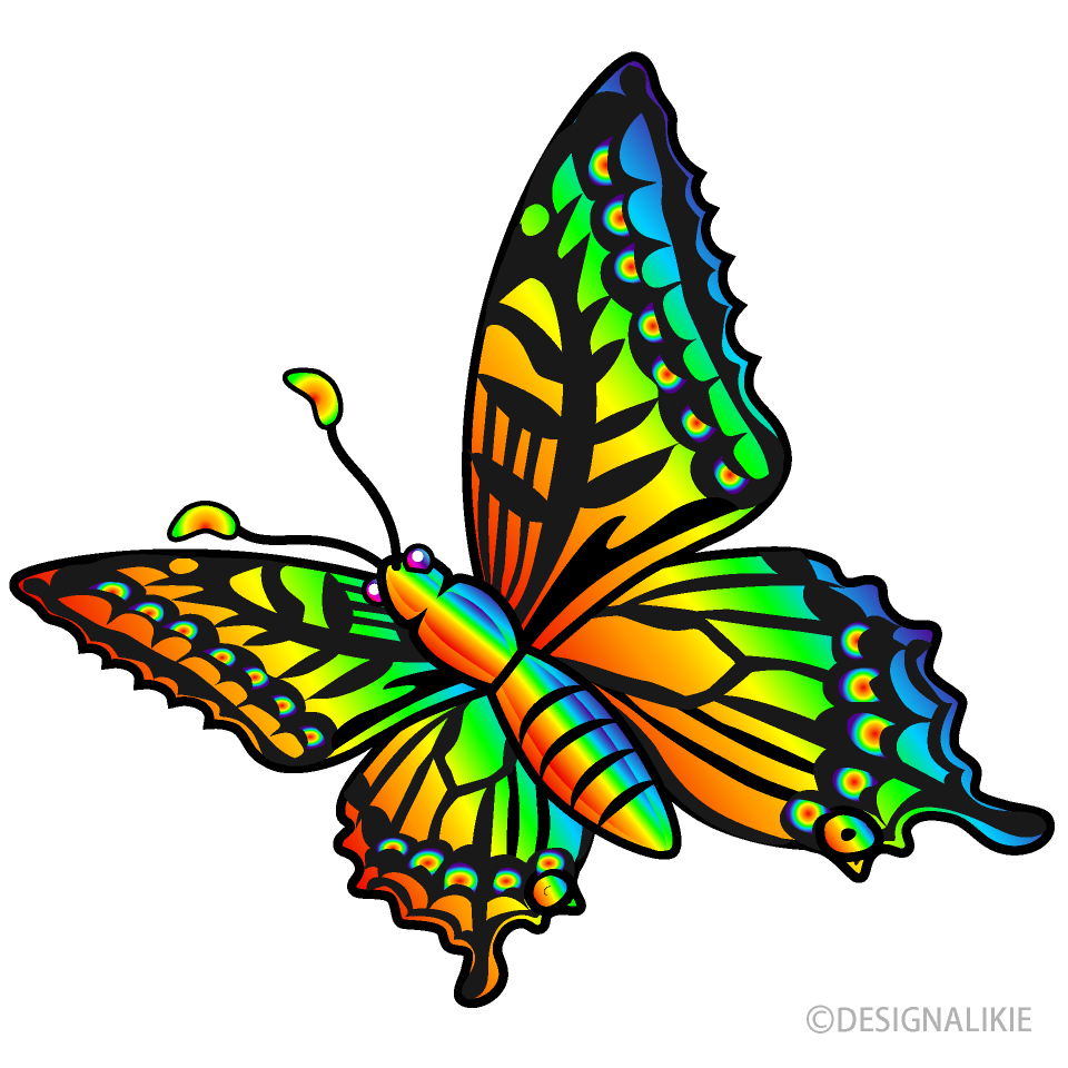 飛ぶ虹色の蝶