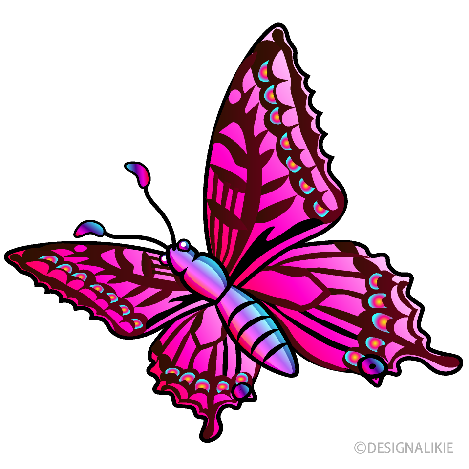 飛ぶピンクの蝶