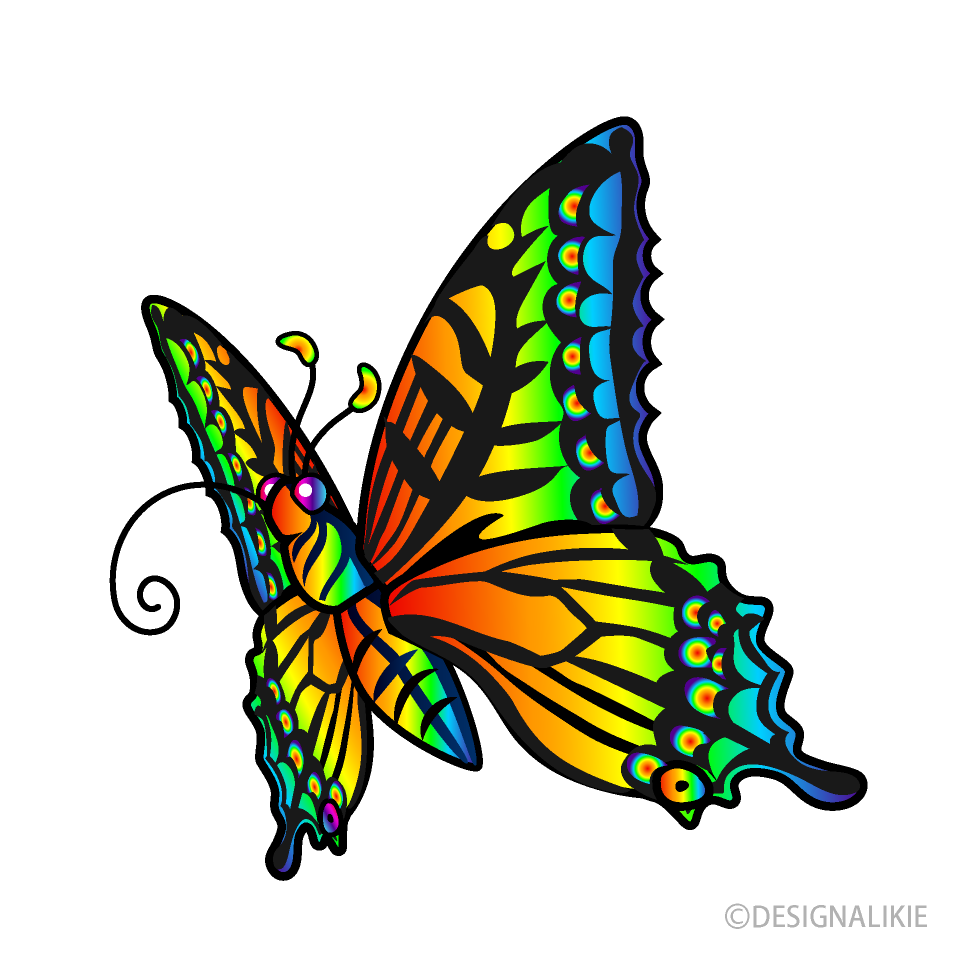 吸う虹色の蝶