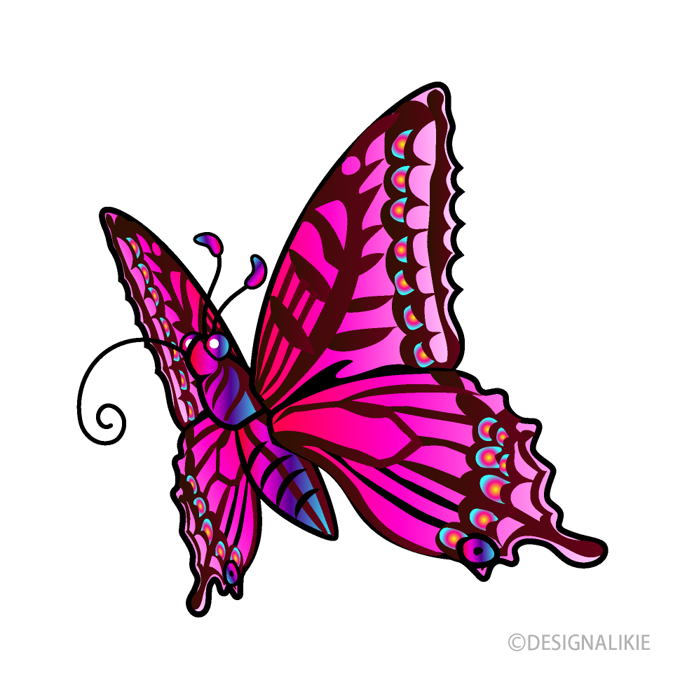 吸うピンクの蝶