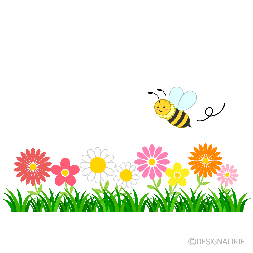 草っ原のミツバチ